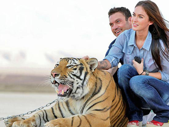 Меган Фокс, Брайан Остин Грин