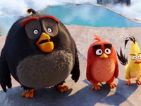 Птички в шоке. The Angry Birds Movie HD