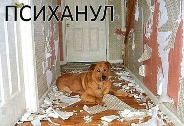 Я немного ПСИХАНУЛ