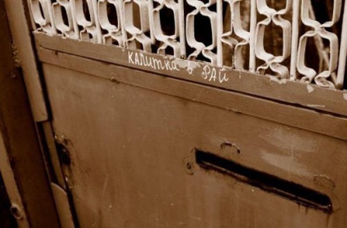 Веселая жизнь