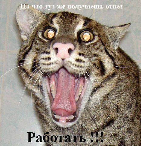 Комикс про пятницу