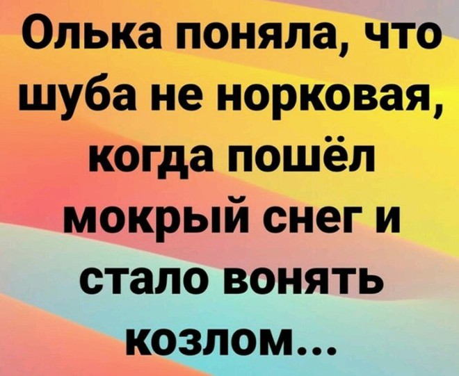 Норковая шуба