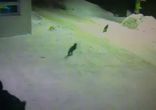 Эй, мужик! Моих друзей не видел?
