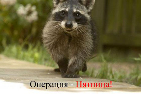 Операция "Пятница"