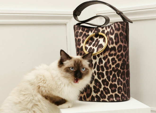 Stella McCartney Fall 2016 accessories