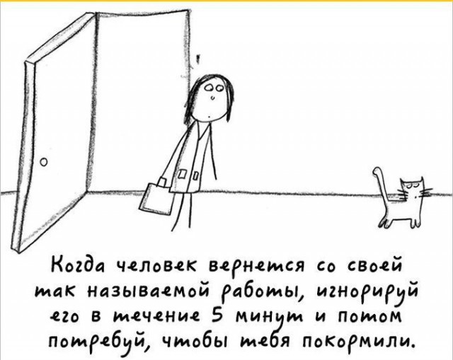 Милый комикс про котов