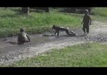 Были белыми стали неграми))