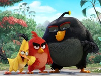 Милые обои на рабочий стол The Angry Birds Movie HD
