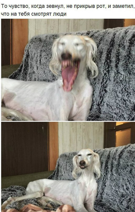 То чувство, когда...