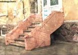 Супер пес TreT. Собачий паркур