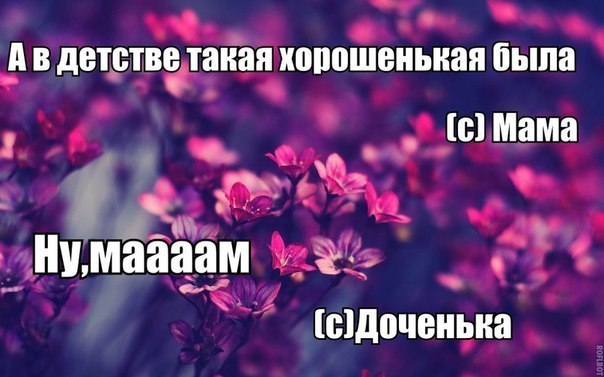 Цитаты известных людей