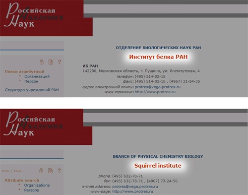 Трудности перевода