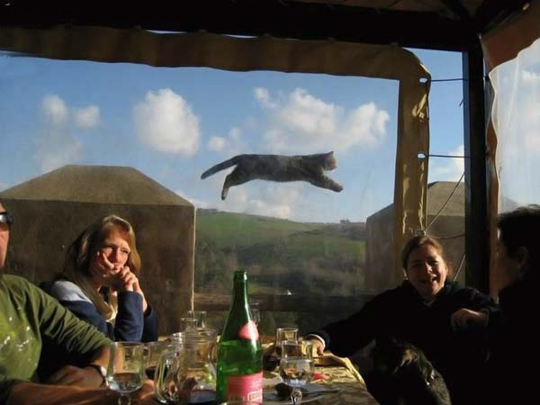 Прикольные стоп-кадры