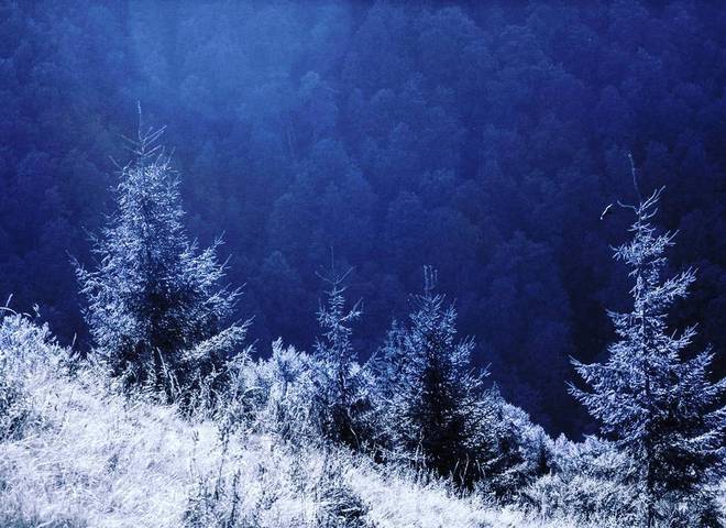 Карпаты снег