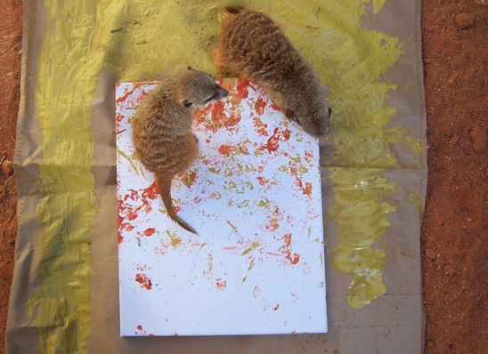 животные рисуют картины