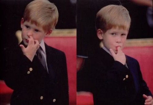 Подборка смешных фотоприколов