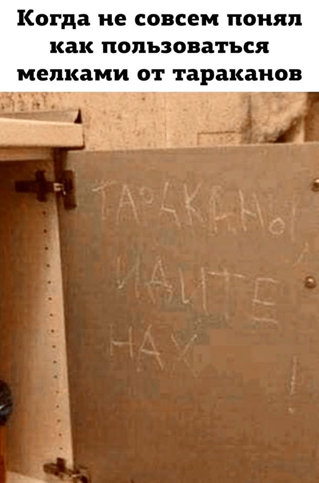 Мелки и тараканы