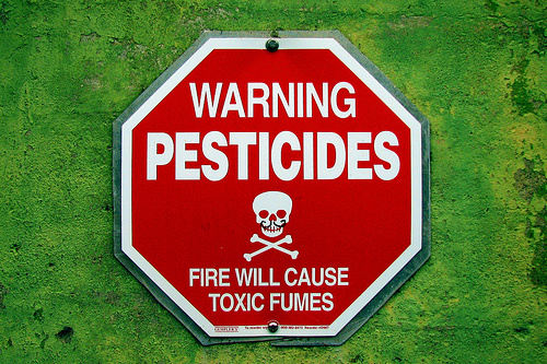 Международный день борьбы с пестицидами