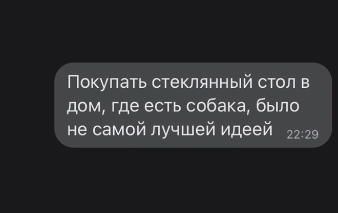 Стеклянный столик и собака