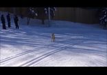 Сочи-2014 понаехали тут!