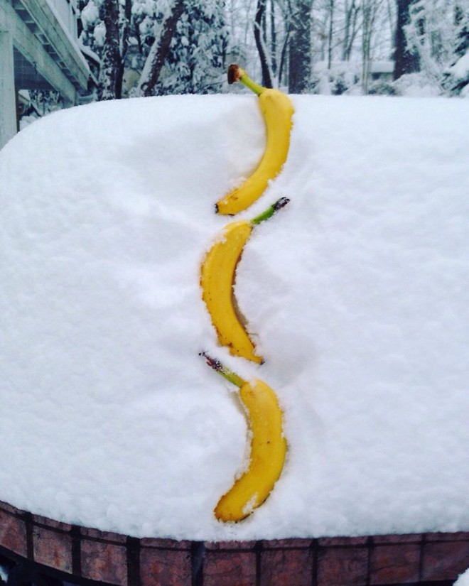 Тем временем в США