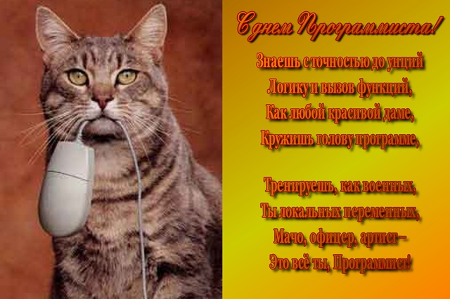 Поздравления на день программиста