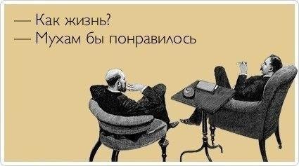 ТОП лучших Atkritok