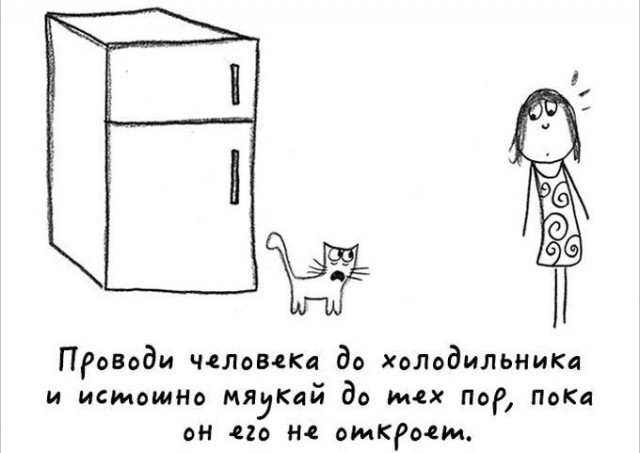 Милый комикс про котов