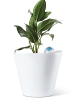 предметы для дачи