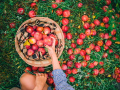 Яблучний Спас 2021: красиві привітання в прозі з картинками