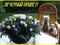 Вечерний приветик!