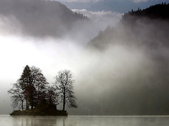 Погода, туман, озеро, лес