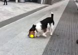 Никто со мной не играет