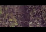Santifique - Календарь