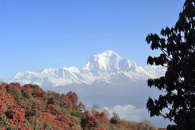 Трек в Непале