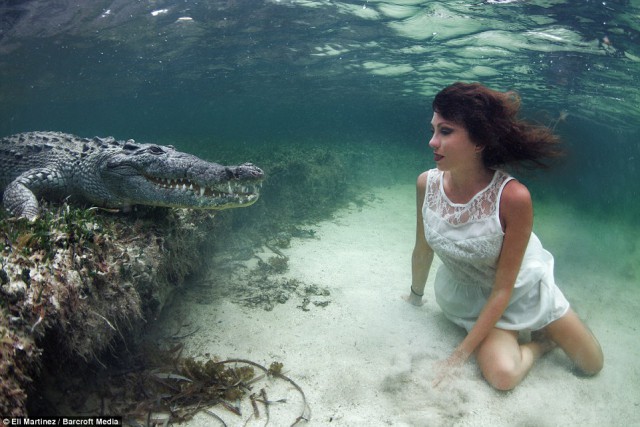 Смелая фотосессия с крокодилом