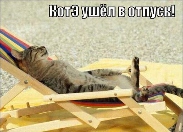 Котэ ушел в отпуск!