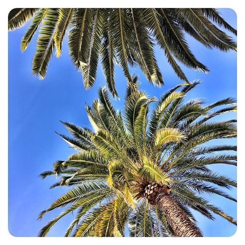 Меган Маркл и принц Гарри