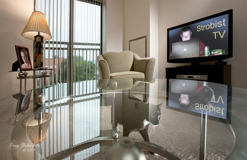 Кошки - лучшее украшение Вашего дома