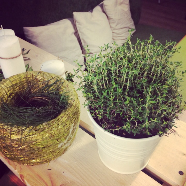 Рестораны Львова: Green