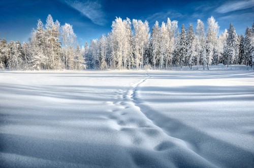 Последний день зимы