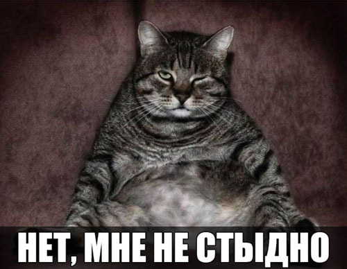 Маленькие шкодники развлекаются