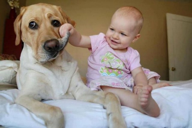 Классные картинки про собак и детей