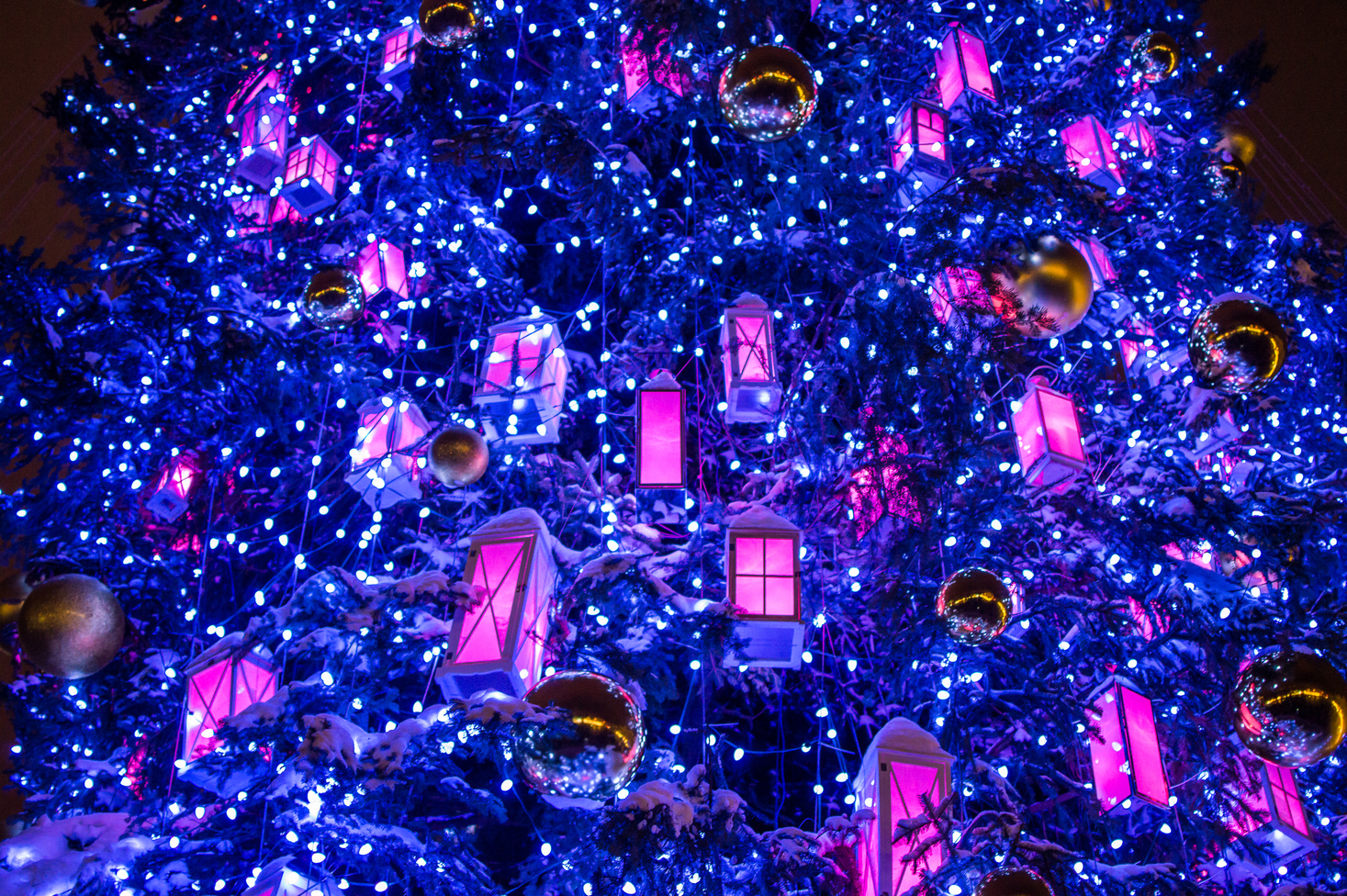 Найкрасивіші різдвяні ялинки 2018: Київ