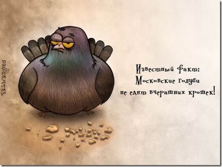 Животный характер