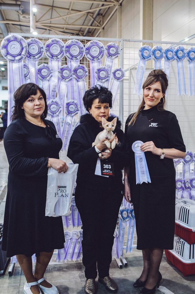 Міжнародна виставка котів Pro Plan® Гран Прі 2018