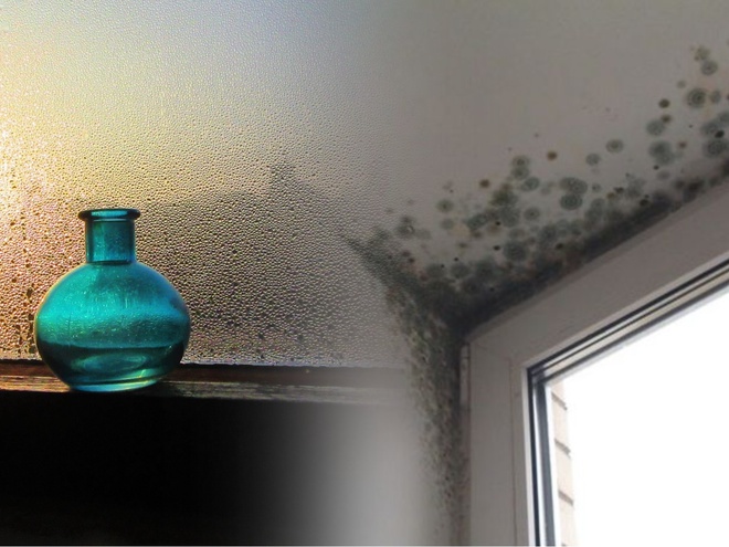 Як позбутися конденсату та плісняви на вікнах взимку: простий лайфхак