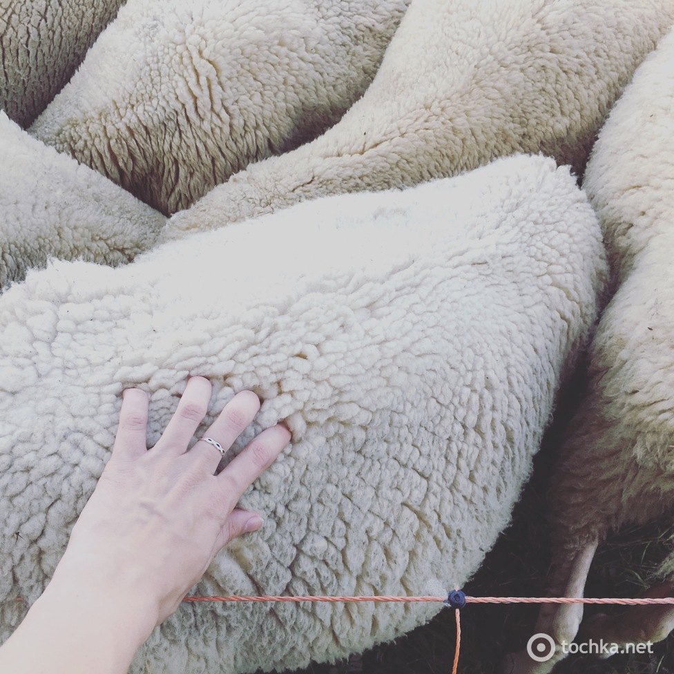 Мерінос_Захід