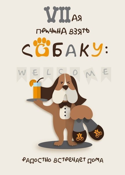 7 причин завести собаку!