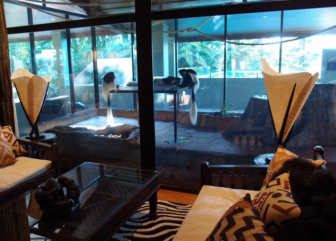 Готель з дикими тваринами: Jamala Wildlife Lodge